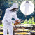 易美丽诺 LCF0660 白色圆帽连体养蜂防护服透气蜂服分体衣服 白色 XXL