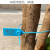 定制加长园林塑料封条一次性围树绑扎带苗木记号标签标识锁扣50CM 蓝色50公分长13的直径100条