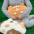 贝木惠（beimuhui）咚咚研究所团团喵抱枕款 可爱猫咪靠枕靠垫公仔玩具玩偶女生礼物 起司团团抱枕 小号抱枕款38x30cm