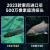 水下可视探鱼器高清探鱼神器2024摄像头超清夜视钓鱼连接手机 5寸全防水屏+超清探头+20米
