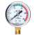减压阀单表头 氧气氮气氩气二氧化碳加热表压力表头减压器 二氧化碳Y60低压0-1mpa