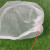 海斯迪克 尼龙网袋 防虫网眼袋 纱网袋（100个）45*30cm H-63