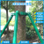 钢管树木支撑架固定器园林绿化养护防风大树支撑杆苗木镀锌行道树 2.5米长绿色48管1.5厚4根+抱箍