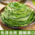 微神农贡菜干240g脱水蔬菜农家自制干货新鲜苔菜苔干火锅食材菜类特产