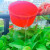 环绿 工业塑料水勺 加厚水勺水瓢 耐摔塑料水舀水壳 大号200*105