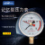 上海联力YJN-100双针耐震 记忆型压力表 峰值压力记录充油抗震表 4MPa