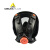 代尔塔(Deltaplus)防毒面具 硅胶便携一键调节防雾霾粉尘甲醛呼吸全面罩全面屏面具黑色105007防毒面具(1个)