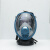 海固  HG-800防毒面具全面罩有毒气体喷漆农药甲醛放毒面罩（不含过滤件） 蓝色