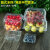 定制市一次性水果包装盒透明塑料盒水果500M水果店一斤装草莓议价 1813H6黑色约一斤半-100个 无盖