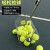 天龙（Teloon）网球捡球器可伸缩调节高度便携乒乓球拾球集球推筒 T115-55