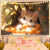 山头林村床头背景墙壁布卡通网红小猫咪ins可爱插画布系列宿舍出租屋布置 小猫与水果20 大号宽2米高1.5米(送6米灯)