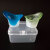 赞璐桐（ZANLUTONG）洗眼杯硅胶2只装送盒清洁器眼睛专用工具网红家用可多次用 绿色