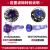 戴森（DYSON）吸尘器前置滤网V6V7V8V10V11后置滤网顶部滤芯 盒装全新DC系列V6V7V8老款前置滤