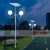 正翔ZX-TYD014-39户外太阳能庭院灯双头4米小区花园景观灯