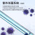 上海一恒 电热恒温培养箱细胞微生物腹透液催芽发酵实验室 DHP-9082普及型 