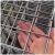 德威狮 304不锈钢铁丝网电焊网片加粗隔离防护网片 6cm方孔5mm粗1m宽2m长 单位：张