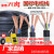 RVV电缆线电线国标软线2芯3芯1/2.5/4/6/10平方电缆线户 国标2芯1平方1米价