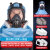 LISM防尘面罩全脸防护口罩工业级防毒喷漆头罩油漆工全面罩头盔防粉尘 6200防尘毒蓝色套装