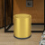 金绿士 JLS-82GTJ客房垃圾桶酒店商用客厅卧室厨房办公室宾馆纸篓箱 10L摇盖钛金色