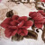 海边茉莉双层毛毯被加厚单双人毯子床垫盖毯婚庆大红色保暖送人结婚礼物 时尚格子 200*230cm 9斤