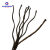 科泊纳（CARDNORM）双扣压头压铝套钢丝绳吊车专用起重钢丝绳吊索具 油压36.5毫米6米 