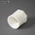 安赛瑞 PVC内丝直接（10个装）给水管件配件单内丝内螺内牙接头 白色 63mm 450061