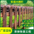 谋福（CNMF）户外木栅栏 花园围栏草坪庭院木护栏碳化木栅栏（咖色100*50*70cm (厚9mm)）