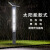 中恒朗 JGDD30200 景观灯 太阳能户外路灯 led方形灯 3米广场小区别墅防古中式灯 D款 3米高 200方