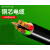 阳谷绿灯行电线ZR-YJV4+1铜芯国标5芯硬线电力充电桩电缆 ZR-YJV 4*185+1*95(每米)