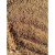 日韩品质土风养桩类多肉赤土专用砂沙岩非赤玉化砂沙岩非赤玉金软 3-611斤