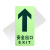 谋福CNMF 消防标识指示牌荧光地贴夜光自发光地滑贴警示疏散标志牌 （地贴 全夜光直行）795