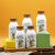 光明一只椰子牛奶 牛乳饮品椰子椰汁巧克力牛奶饮料整箱250ml*8瓶 大白兔牛奶250ml*6瓶