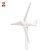 晶标户外三叶水平轴风力发电机家用商用小微型220v伏直流风光互补永磁路灯风力发电S型24v500W