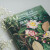 森林之花：玛格丽特·米的植物学笔记（邱园英国皇家植物园出品 哈佛大学教授一致推荐) 京东正版现货 森林之花