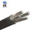 鼎献 电线电缆 YJLV 3*50平方 3芯国标铝芯阻燃电力电缆 1米