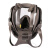 普达 自吸过滤式防毒面具 MJ-4007呼吸防护全面罩 面具+0.5米管子+P-H2S-3过滤罐