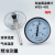 上海天川仪表厂轴向双金属温度计WSS-401403背接式管道水温度表 300度以内 长度1米