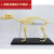 宠物骨科器械 狗骨骼标本模型 动物狗猫犬 教学骨架骨头 骨骼模型 大号狗骨架1.2米*20*60CM