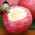 馋半仙庆阳合水红富士苹果 冰糖心 新鲜多汁水果 苹果 应季时令苹果含箱 带箱10斤（中果）