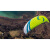 滑翔伞 单人燕子岩飞行法国进口Supair滑翔伞降落全套单人装备EN-A类新手初级 孔雀蓝