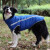 SLPC狗狗衣服金毛大型犬冬季保暖棉衣边牧哈士奇柯基中型犬秋冬衣服 蓝色 2XL建议（19-25斤）