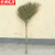 京洲实邦【1.5米竹子扫把】手工清洁竹子扫把ZJ-0252