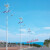 风力灯led市电路灯农村6/7/8米路灯杆220V超亮风光互补发电 8米60w风光互补定制
