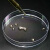 冰禹 培养皿 一次性塑料 细胞细菌培养皿 90mm(500个/箱) BYS-283