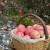 红富士苹果 高山脆甜苹果 新鲜水果 2.5斤装