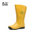 莱尔 R-11-19  耐酸碱防滑耐磨安全靴雨靴防护靴 黄色 36码 一双