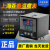 上海亚泰NE-6411V-2仪表温控器NE6000-2温控仪NE-5411数显温度表 NE-6411-2D(N) K 400度