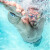 得力（deli）儿童成人泳镜男生高清防水防雾游泳眼镜女生潜水镜游泳装备 竞速款（成人）白色