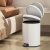 帝梵脚踏式圆形垃圾桶带盖家用卧室卫生间简约厨房客厅办公室创新缓降 6L-沙钢银-圆形脚踏[小空间]