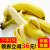 芬果时光 新鲜国产生香蕉 软糯香甜新鲜水果 4.5斤装